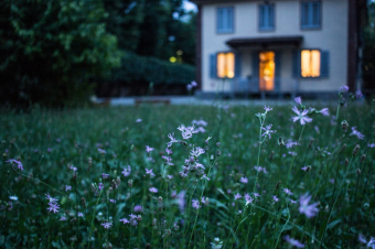 small house in grass with flowers
